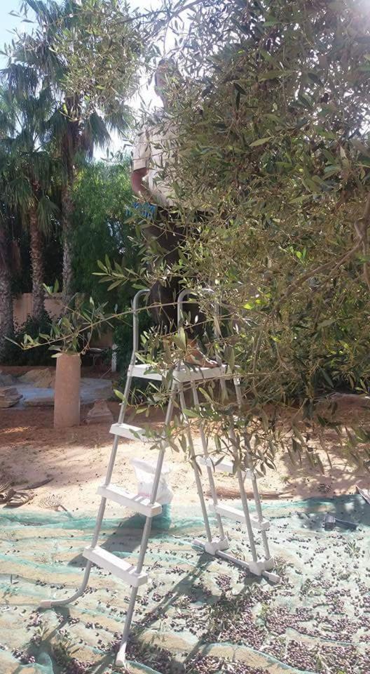 Maison D'Hotes Dar Salma Sfax Extérieur photo